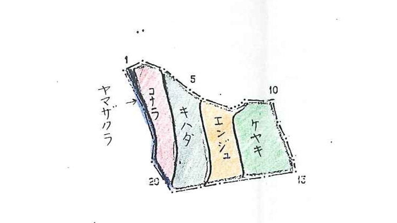 植栽図