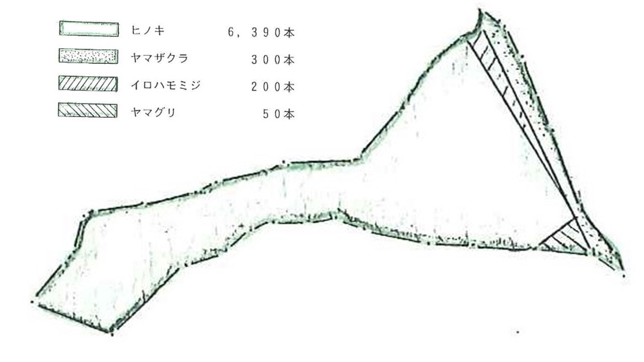 植栽図