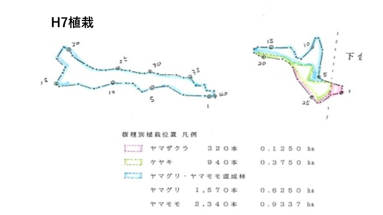 植栽図