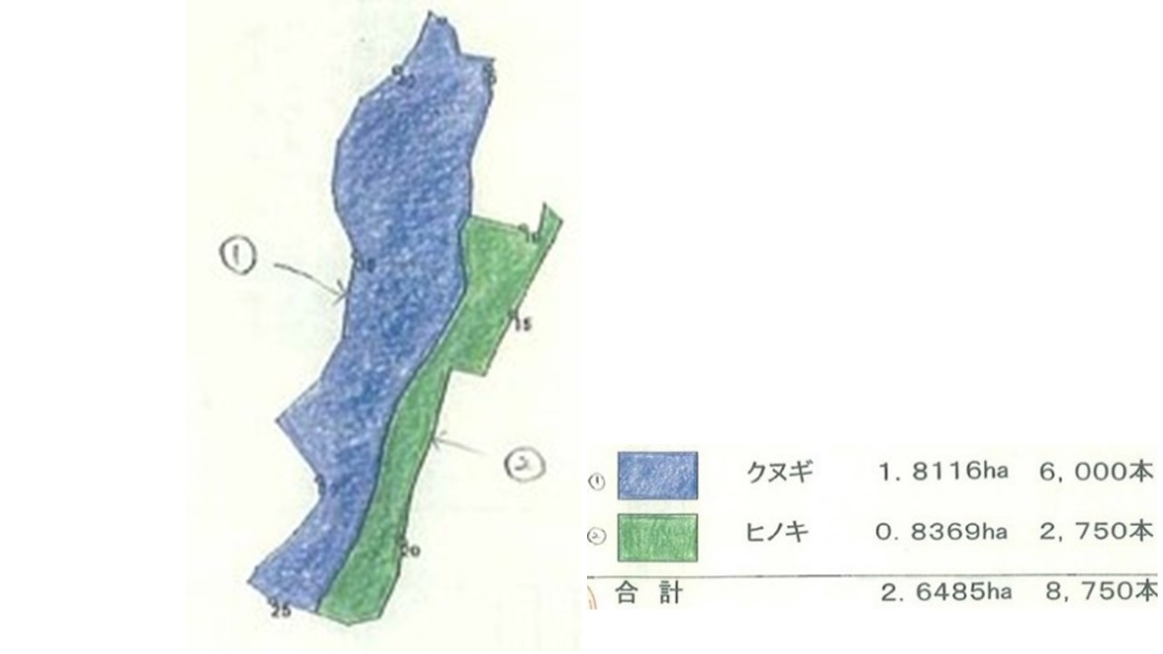 植栽図