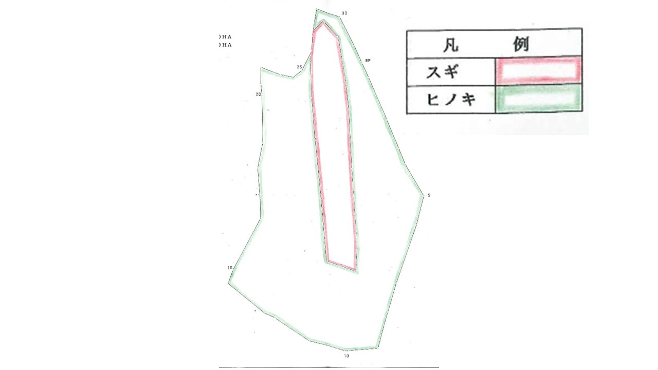 植栽図