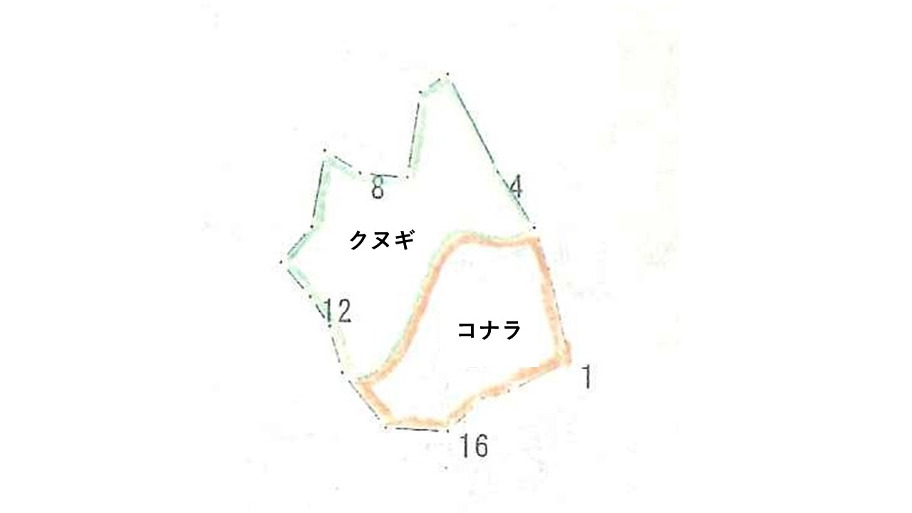 植栽図