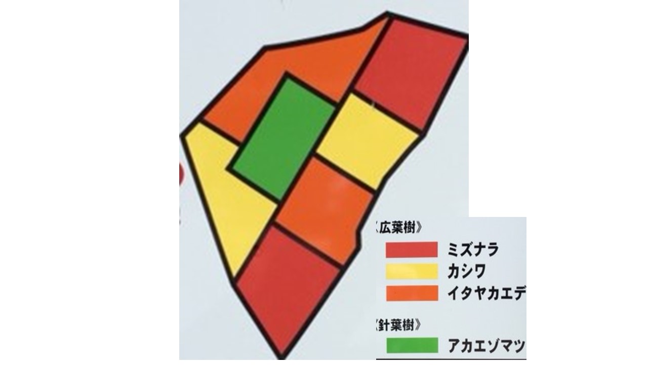 植栽図