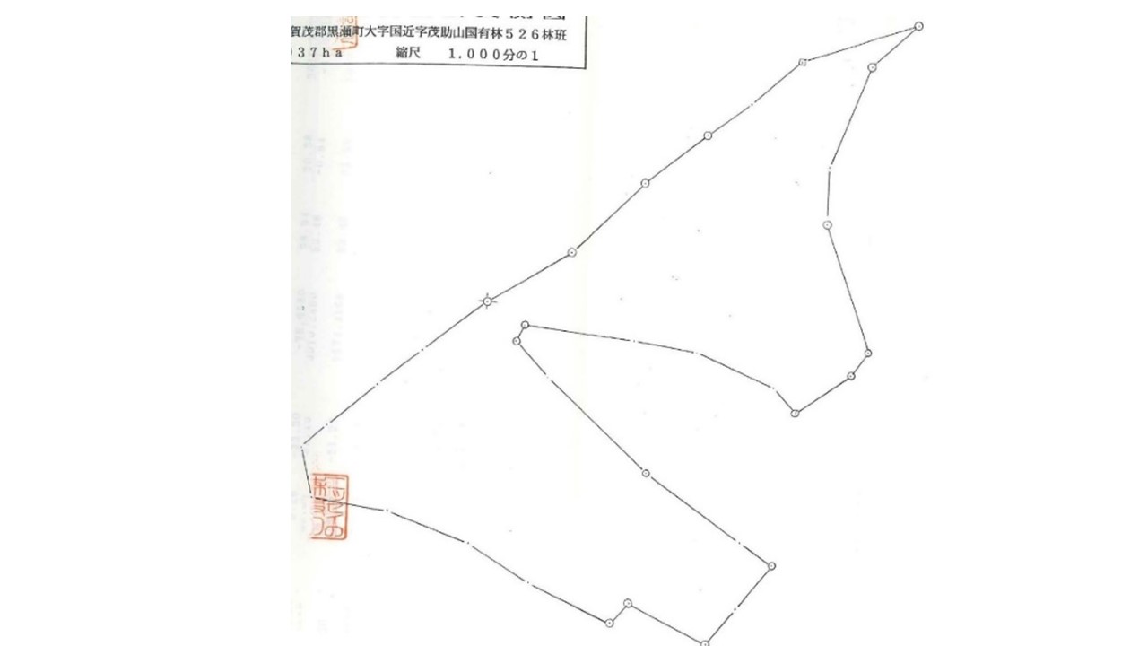 植栽図　森に沿って林道が走っており、アクセスは良い。