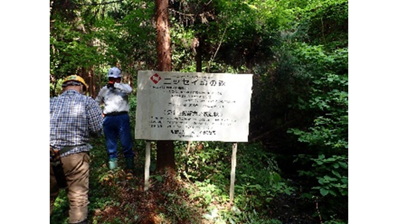 【2019.6撮影】看板の状況