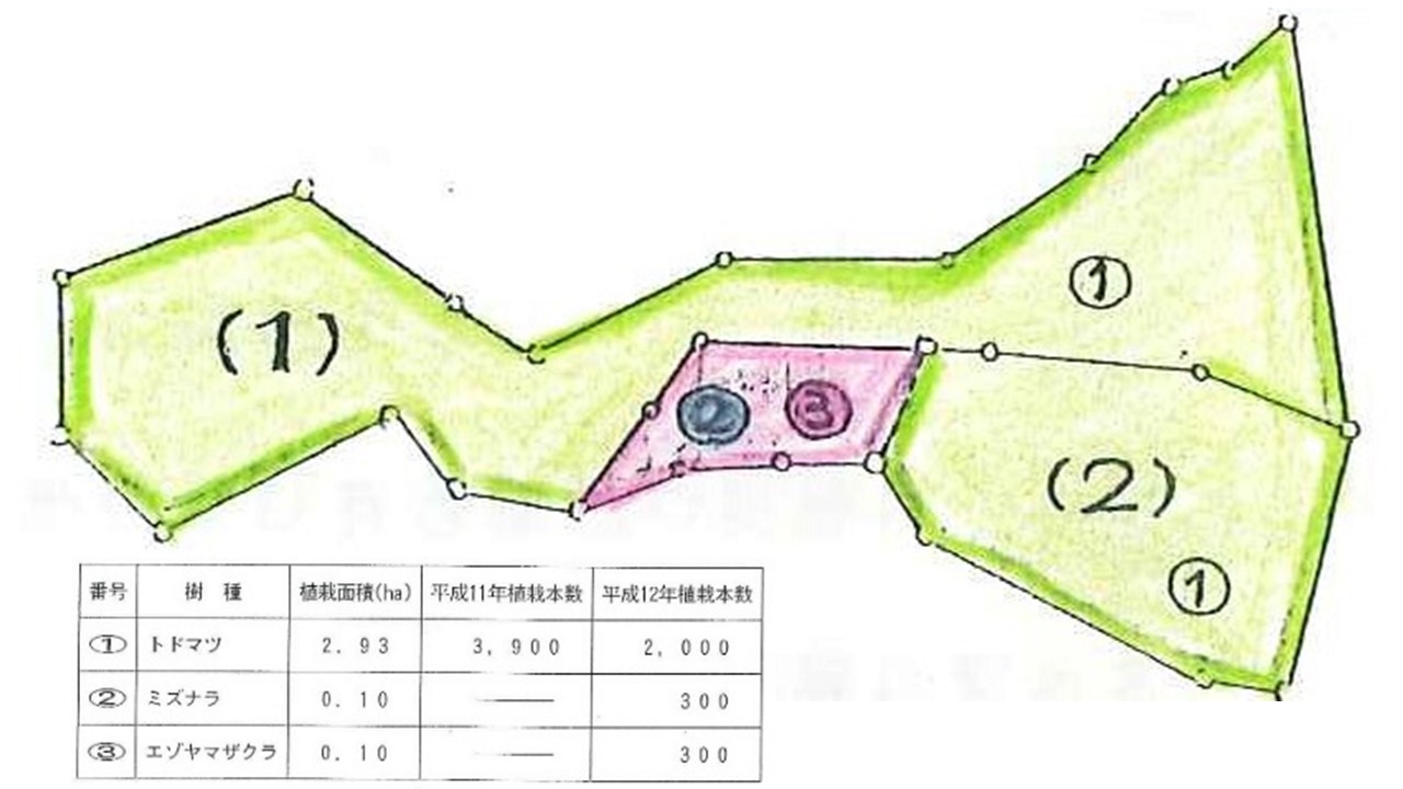 植栽図