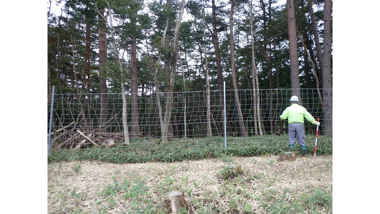 設置したシカ柵