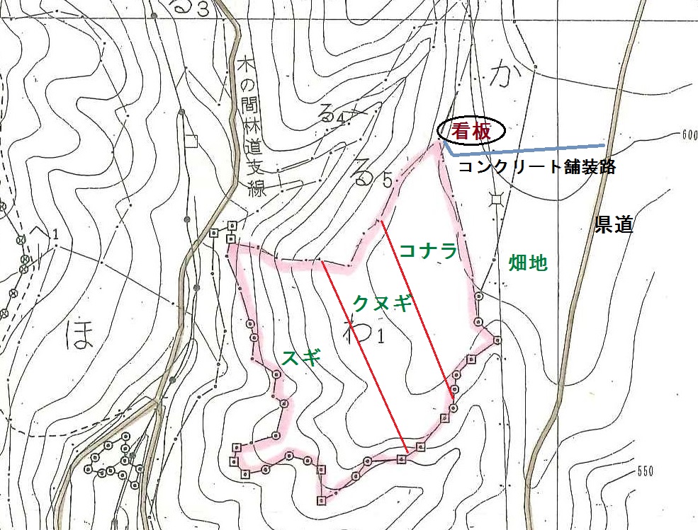 植栽位置図　　上部にコナラを植栽し、クヌギを介在して下部にスギを植栽。　全般的にツル（カラハナソウ）が繁茂しやすくツル切に留意が必要。