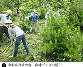 京都京丹波の森　森林づくりの様子