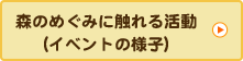 森のめぐみに触れる活動（イベントの様子）