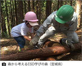 森から考えるESD学びの森（宮城県）