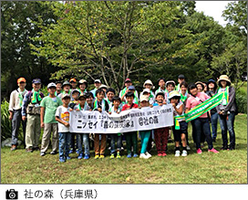 社の森（兵庫県）